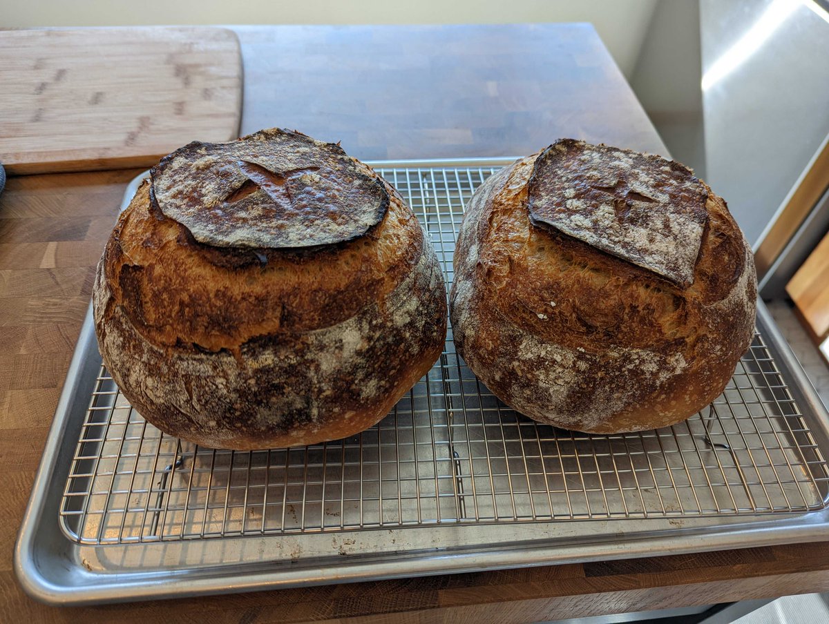 freebrunch's tweet photo. 🍞New Bread Log🍞Take me home, country loaves! This is Bread Log’s first ongoing post. A saga of flour and water. A quest to bake (my) perfect country bread. An adventure so noble it cannot be contained by space and time. https://t.co/K683uS0ZYL https://t.co/QCybE2O07v