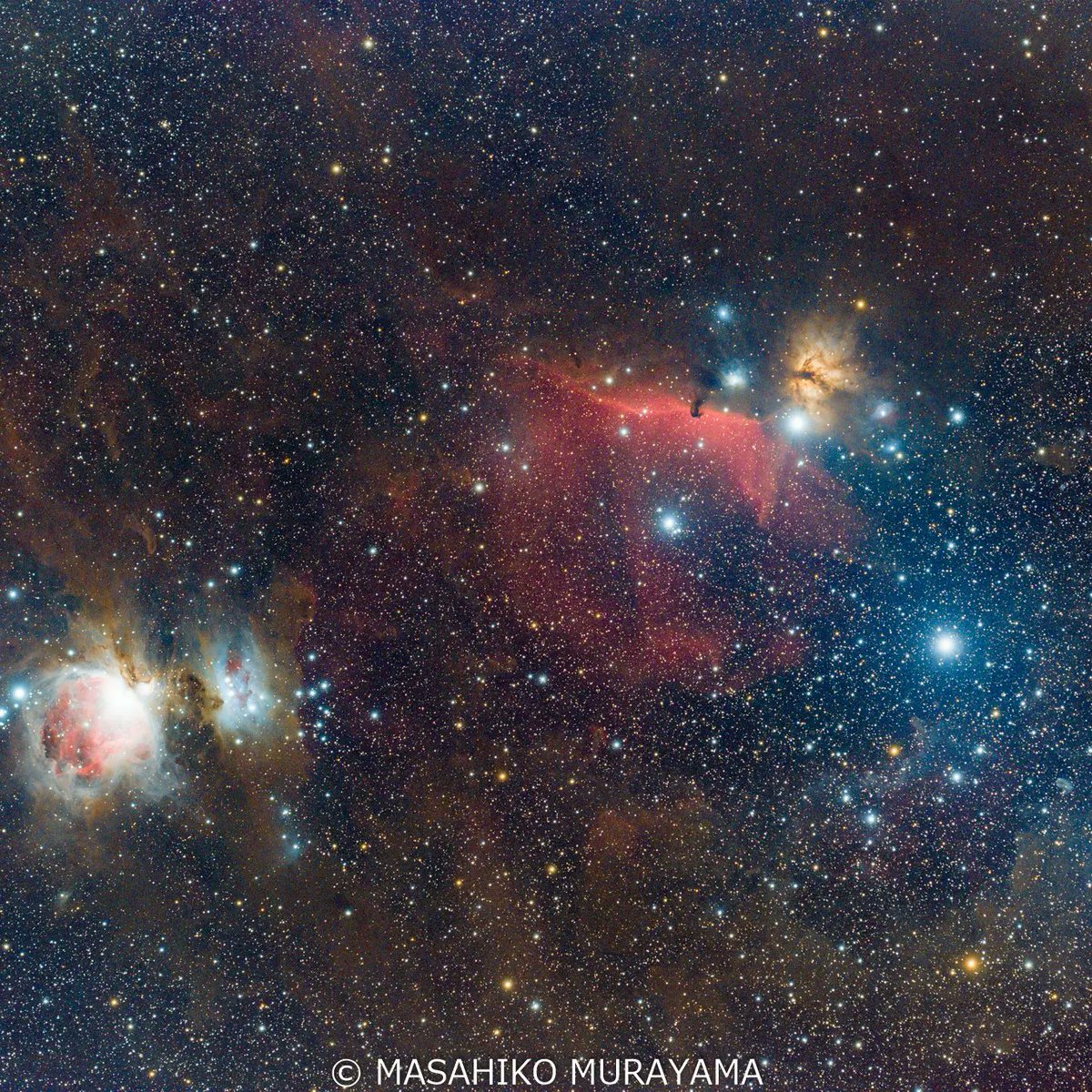 astronomy_mave's tweet photo. 冬の星雲と夏の星雲を一晩で
#redcat51
#asi2400mcpro
#rst135
#pixinsight https://t.co/NGtEXPBBtu