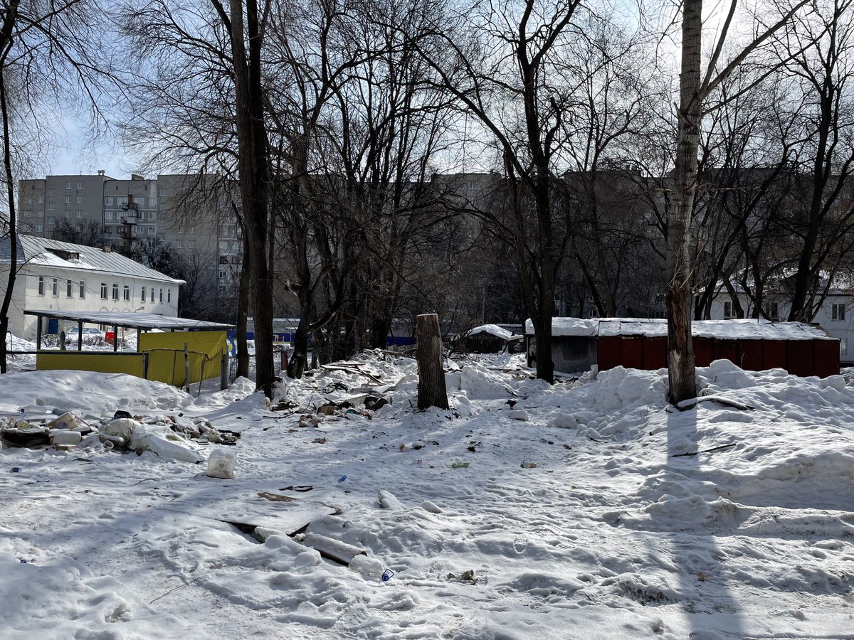 Дмитрий Ежов tweet media