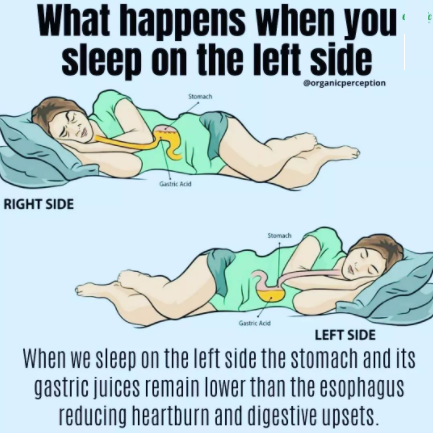 FolksHealthy's tweet photo. health and fitness tips, like &amp; share post, more health plan link in Bio @FolksHealthy 
#healthytips #fitnesstips #SleepingTips #healthylife https://t.co/zlFm1lW2YQ