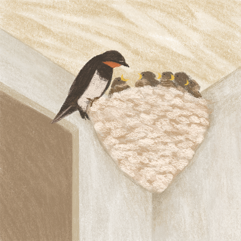 studio_yeon's tweet photo. There are so many lovely animals living around me🦆💛

#nftart  #NFT #NFTCommunity #illustration #illust https://t.co/LVlL63pDfY
