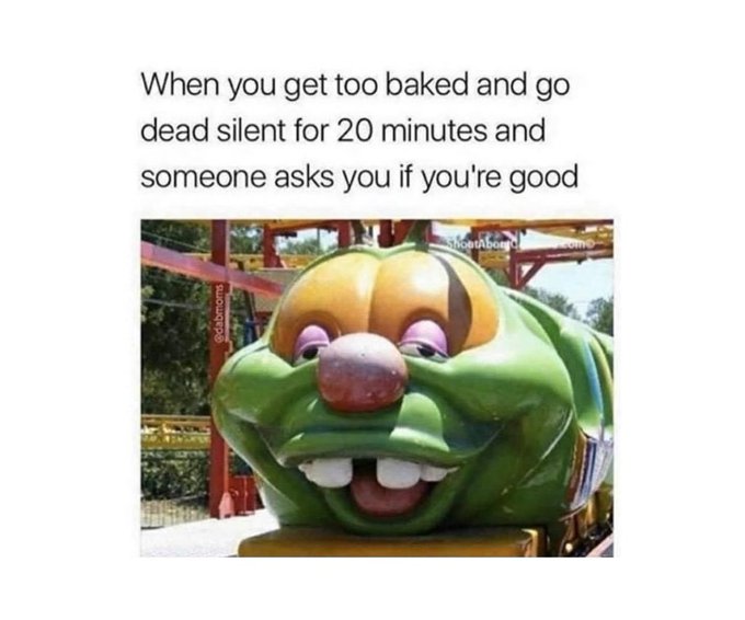 #stoner https://t.co/LwML8Db5WJ<a href="/tag/stoner"class="tags">#stoner</a>