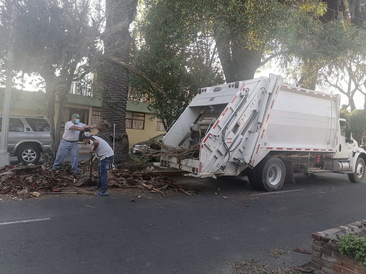 CMaestroFederal's tweet photo. Agradecemos la pronta respuesta a @eduardorivera01, @InfraPue Área parques y Jardines, por la atención en retirar la malesa de una palmera que se desgajo en Av. 15 de Mayo y así evitar cualquier acciendente. https://t.co/rzLvSD3I4o