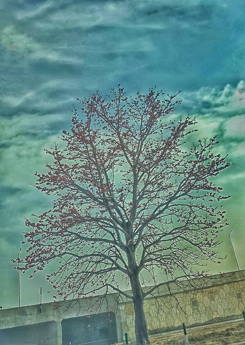 ayumay_team's tweet photo. 🌳😌(☉｡☉)!→
#mobilephotography 
#photographs 
#photo 
#phtographylovers
#UkraineWar 
#เกมปรารถนาep13 
#hellspaces 
#UkraineRussianWar 
#StopRussia 
#บิวกิ้นพีพี 
#ทนายแม๊ 
#ريال_مدريد_باريس_سان_جيرمان 
#دوري_ابطال_اوروبا 
#พิมรี่พาย 
#Chernobyl 
#AppleEvent https://t.co/uxSSTjKxo9