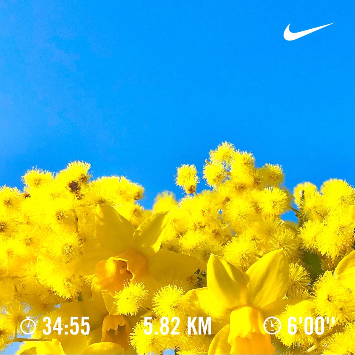 tgqit's tweet photo. #PrayUkraine
#Ceasefire
#NoWar
#running https://t.co/o0EFY9xqgx