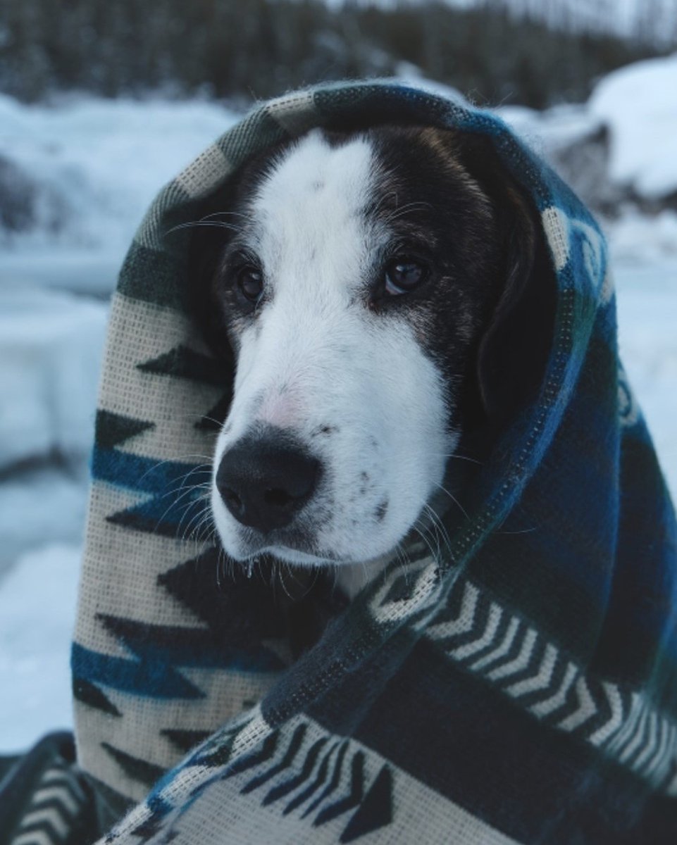 Heartprint Threads tweet media