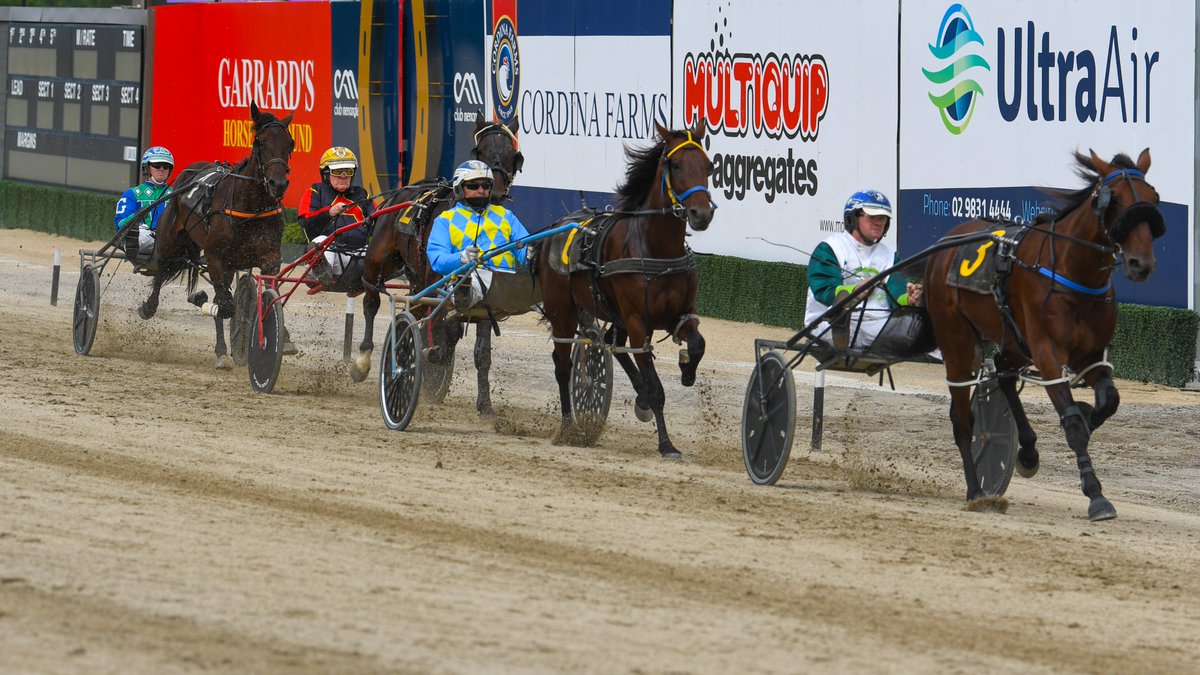 Club Menangle tweet media