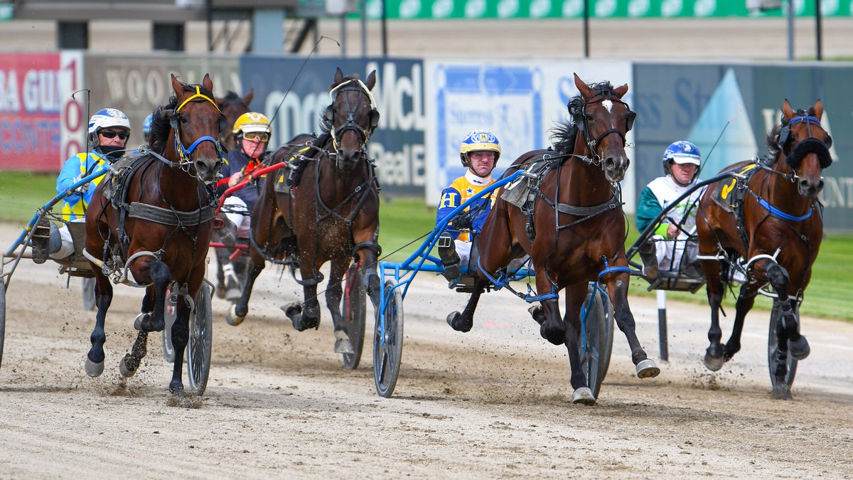 Club Menangle tweet media
