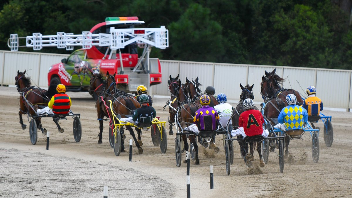 Club Menangle tweet media