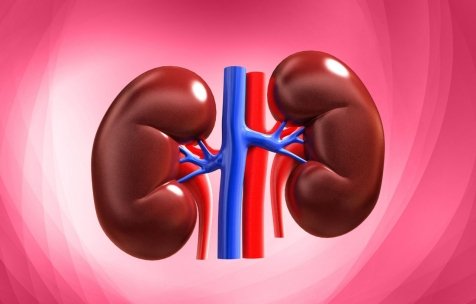 FerdeeyKE's tweet photo. #WorldKidneyDay 

✓Keep active and fit

✓Monitor weight and eat a healthy diet lower in salt

✓Rehydrate

✓Don't smoke or drink too much alcohol

✓Control your blood sugar

✓Monitor your blood pressure

Let's take care of our KIDNEYS or else we meet at the machines. https://t.co/i6h4OKPHxO