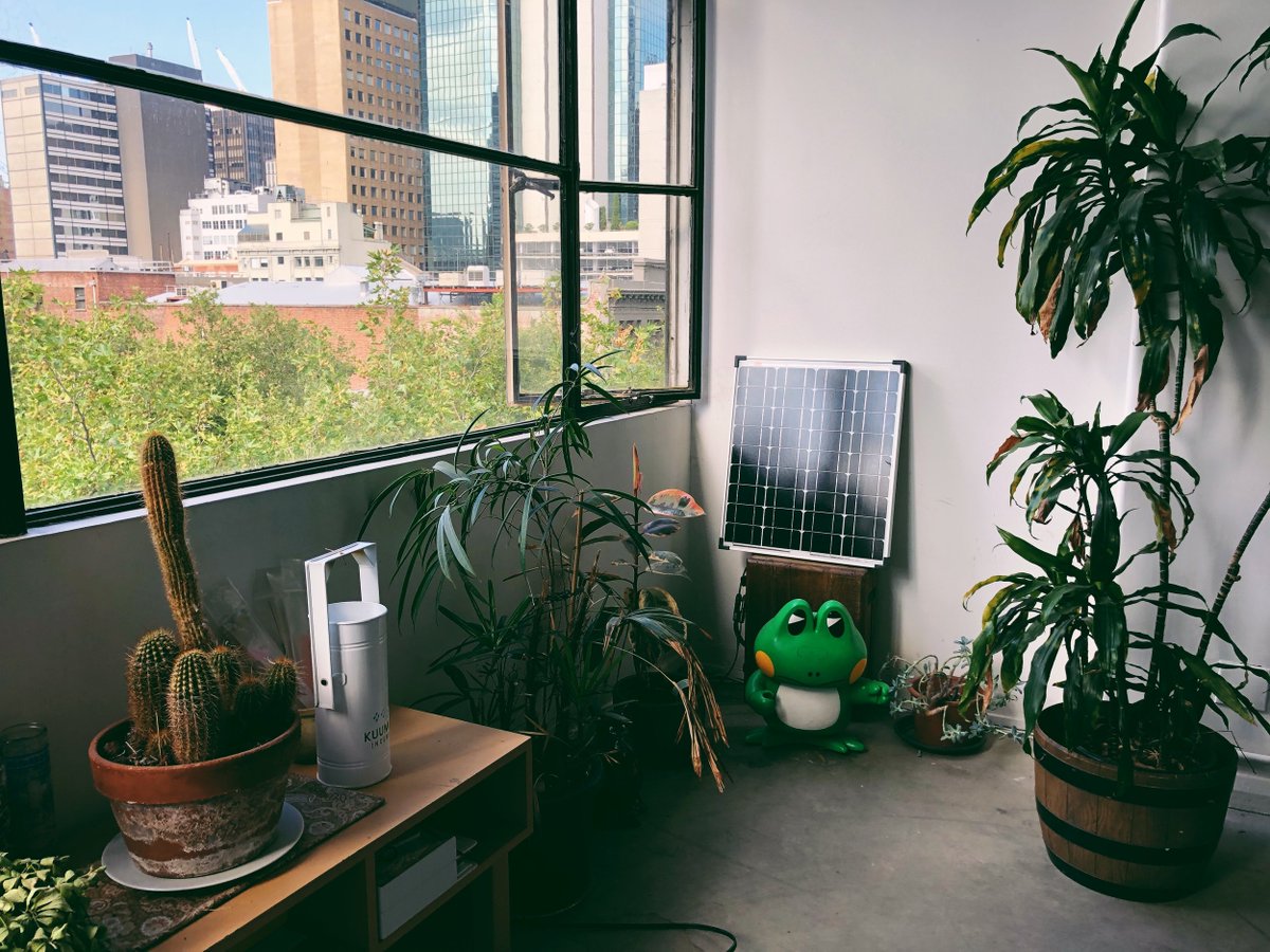 mrkylemac's tweet image. 🐸