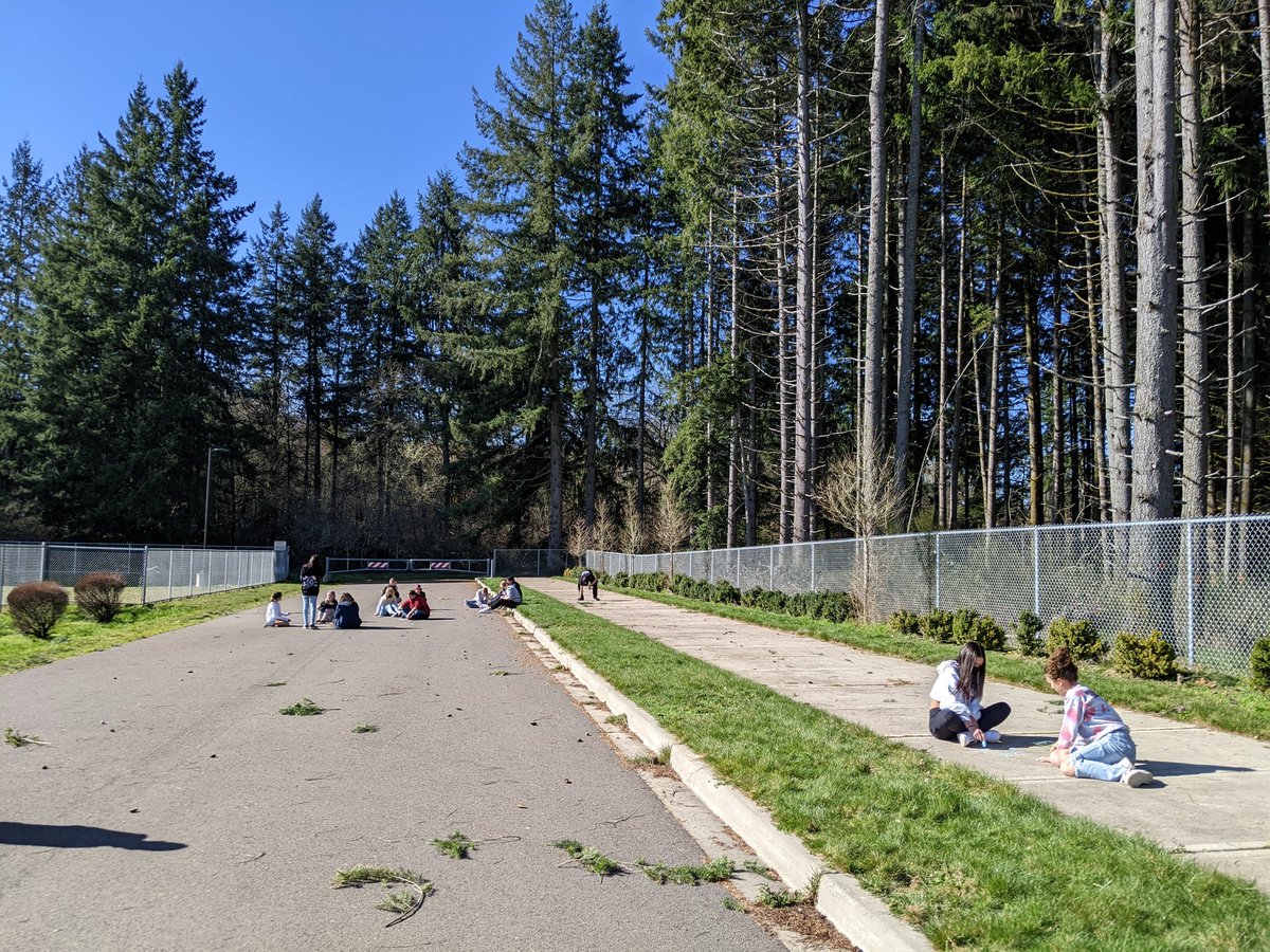 TMSHyLo's tweet photo. Today's objective: I will enjoy being outside. Walk in the woods, look up/look down, ninja stick and a bit of chalk art in the sun... Objective accomplished! @TMSFirewolves @TMSBigMac  @TumwaterSDNews https://t.co/5tC3NZPXOo