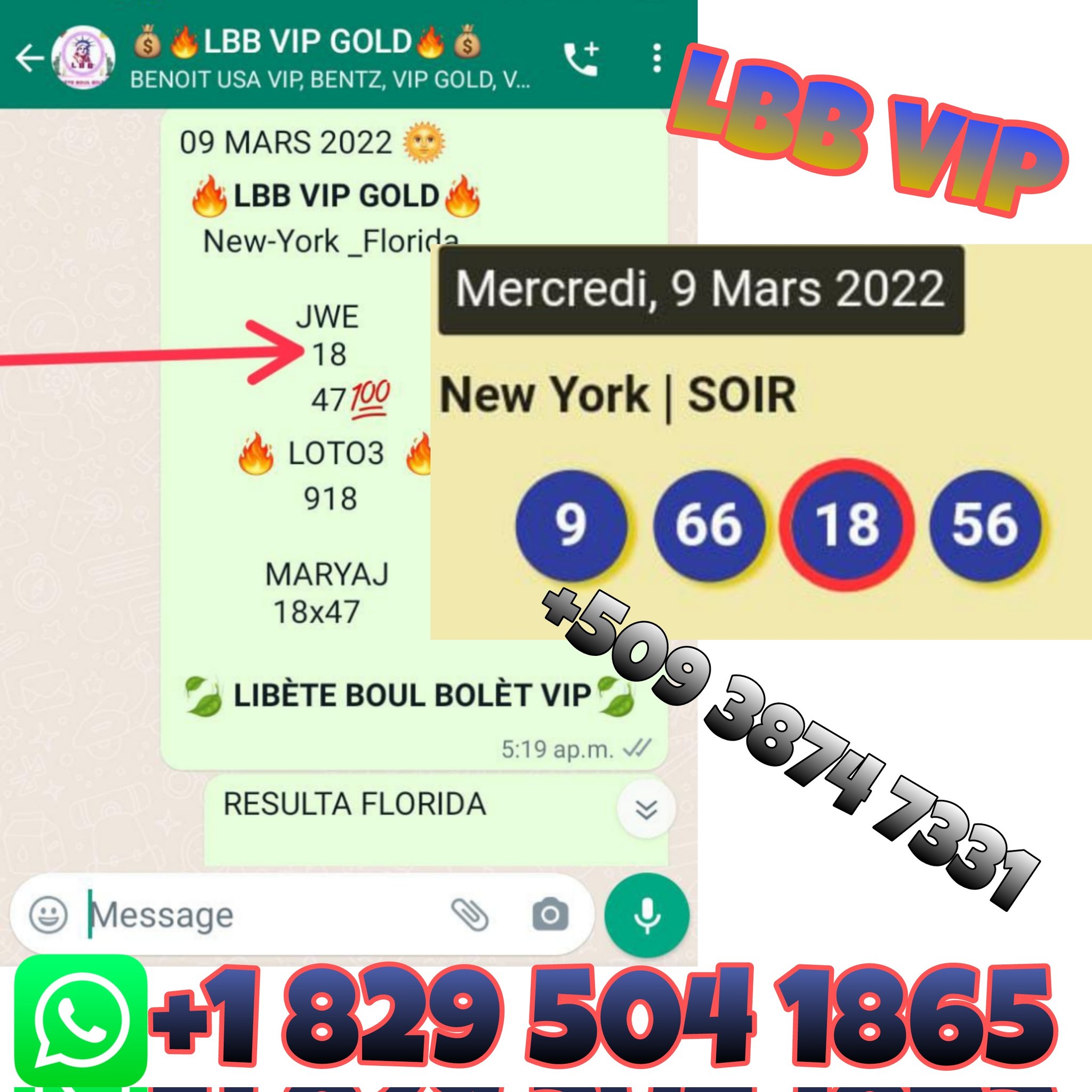 Tiraj Rapid Bolet New York