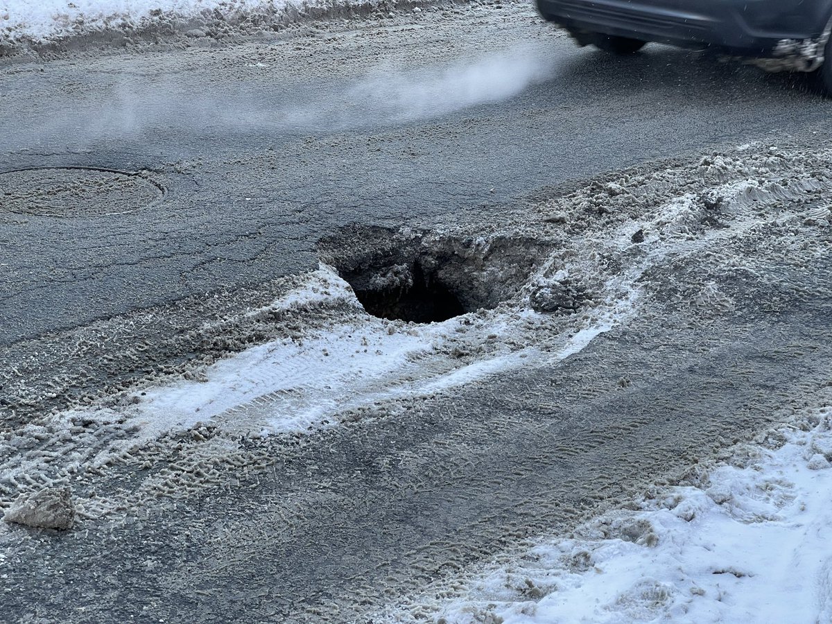 Стародубцев Дмитрий tweet media