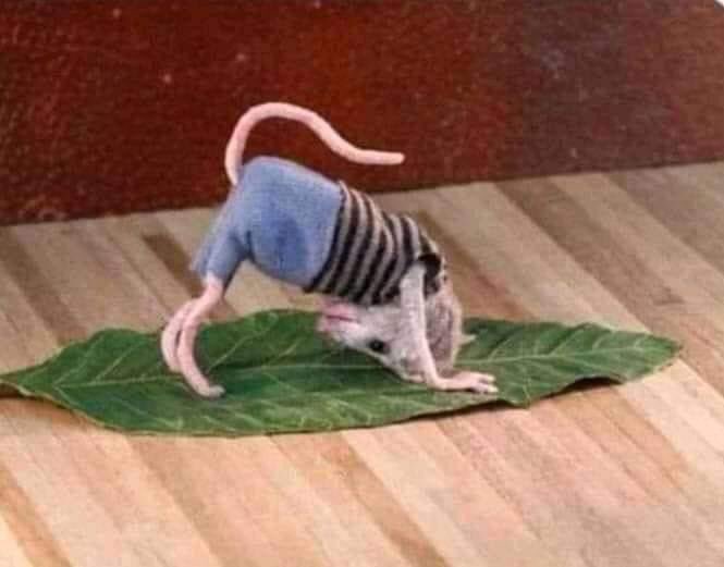 pool_rock7's tweet photo. -Yo en mi cuarto intentando hacer el paso de Anitta: https://t.co/HMbeUIzv6d