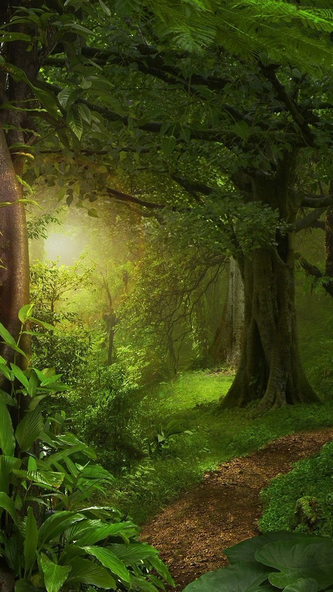 WanguiMuchiri's tweet photo. Good morning. 
The peace we seek is there, nature speaks the peace language. Take that morning walk before you start your day.
Have a peaceful day. https://t.co/ivr9ONs5QO