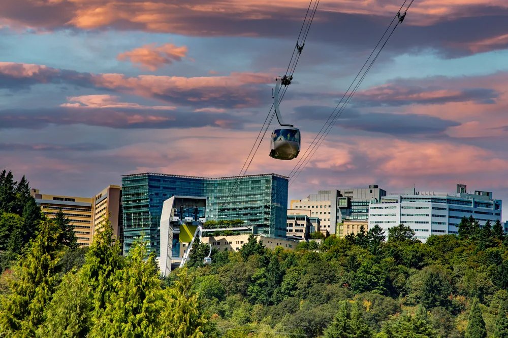 ✨Medical Students interested in Urology <a href="/OHSUurology/">OHSU Urology</a> ✨

Apply for our 2022 away sub-I (dates 👇):

6/27 – 7/22
7/25 – 8/19
8/22 – 9/16

And check out our scholarship for URiM Urology rotation

ohsu.edu/urology/visiti…

<a href="/OHSUUroRes/">OHSU Urology Residents</a>