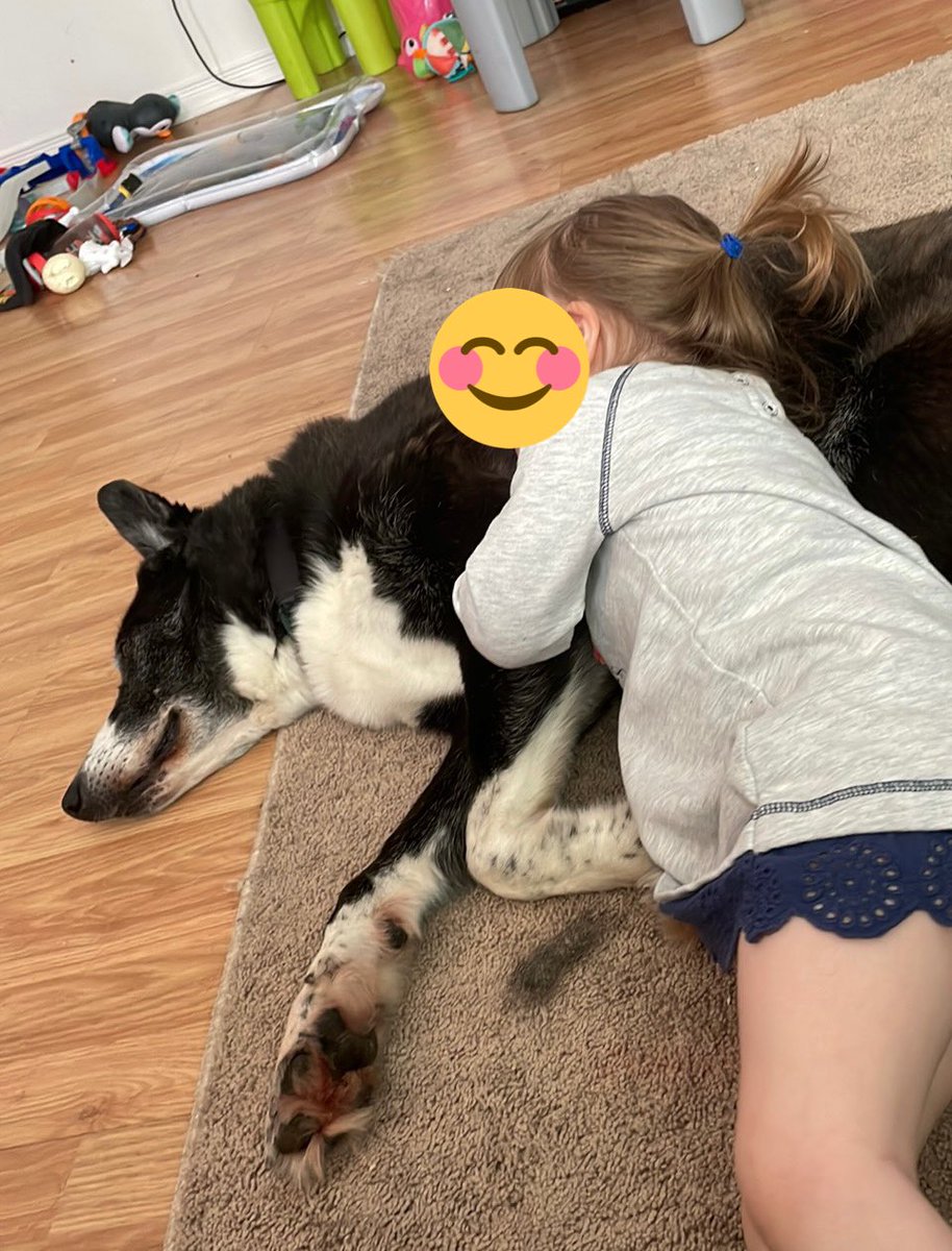 GabbyChamandy's tweet photo. A lil old lady and her bff 🥰 https://t.co/9K4o5DuLLZ