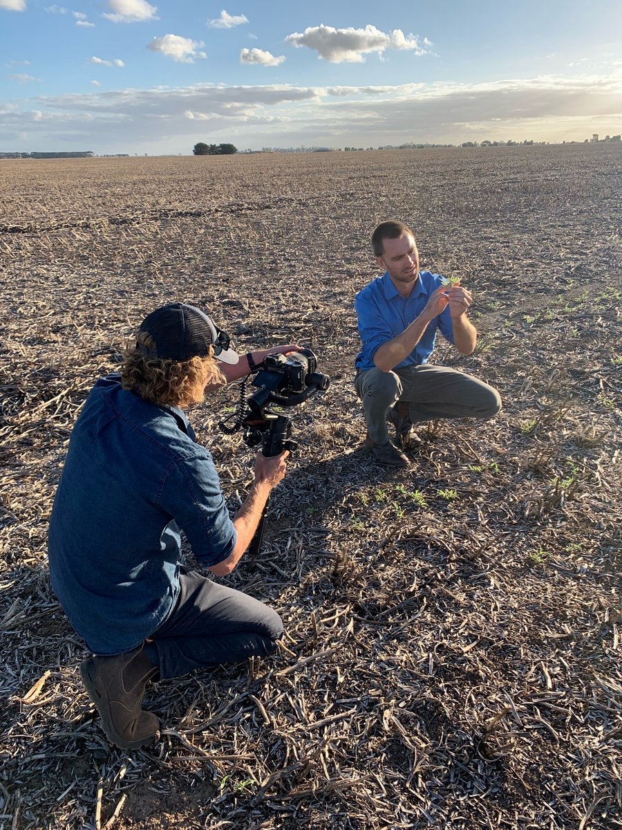 BASF_Agro_Au's tweet photo. It was an early start for our team today, filming content for our new offering #xarvio #SCOUTING at Vite Vite VIC. #xarvio #SCOUTING, the assistant in your pocket, is coming soon to a smartphone near you! #diseaserecognition #weedidentification #leafdamage #emergenceanalysis https://t.co/Y4DMRUvs9W