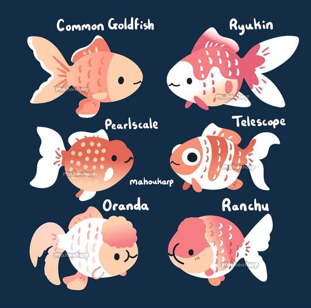 Mahoukarp's tweet photo. fishy https://t.co/6HZouFGcXo