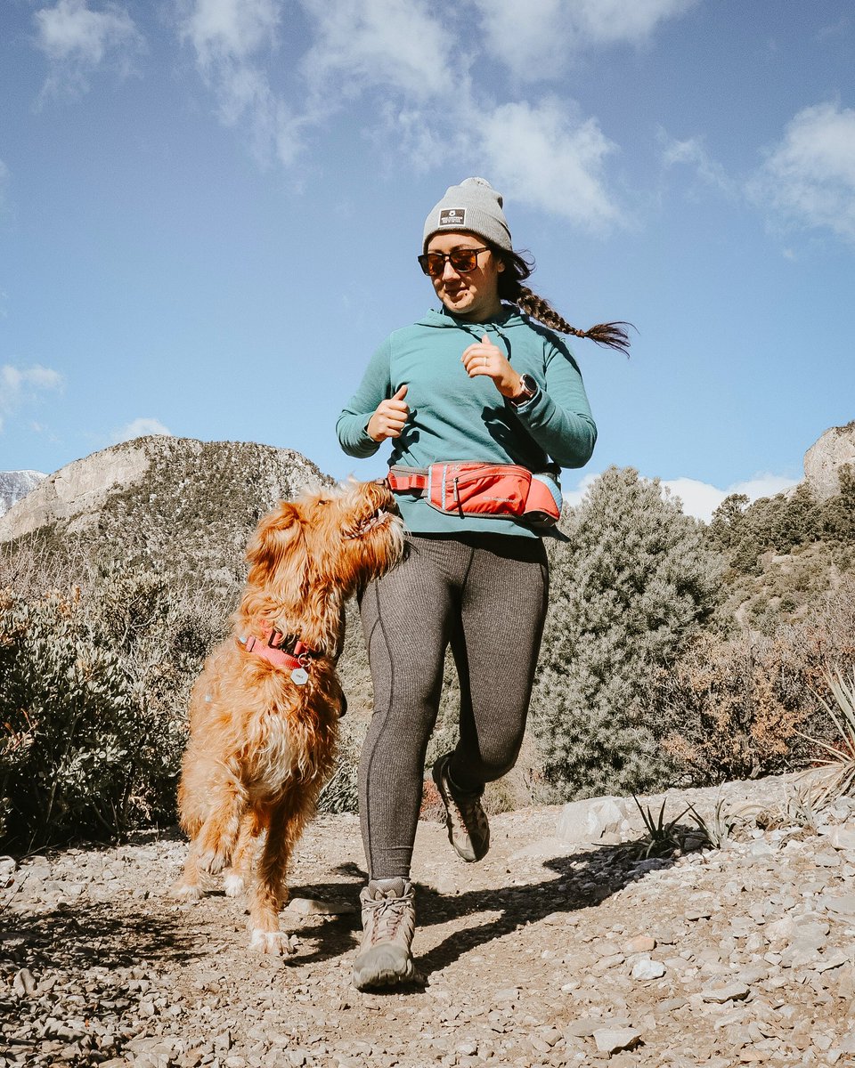 thisdoodchase's tweet photo. Signed up for my first half marathon in Yosemite this May, and I have the best training buddy 🥰 send all the training recs please! #dogsoftwitter #trailrun #dogsonthetrail #dogmom https://t.co/piFmsEGKMe