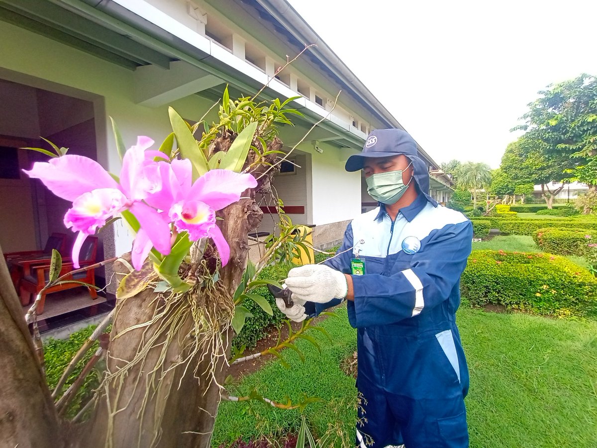 ISSINDO's tweet photo. Kebersihan dan kerapihan taman juga diperhatikan oleh tim gardener di area. Kalau kamu juga punya taman yang cantik di area jangan lupa info ke mimin ya!
#gardener #keepindonesiaclean https://t.co/W80amddIcm