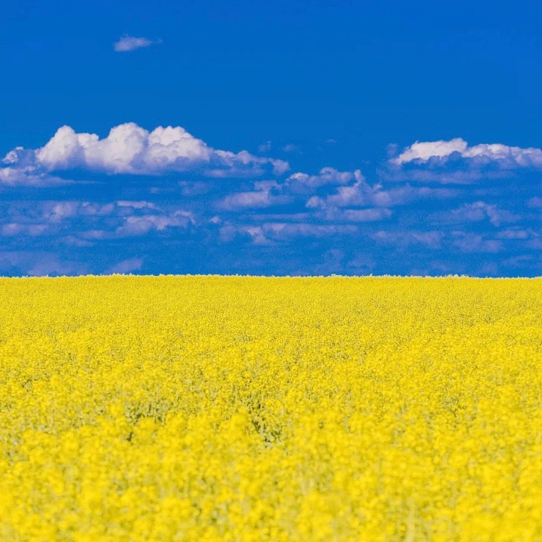 Tommy走走瞧瞧 (@ohnononomygod) on Twitter photo 