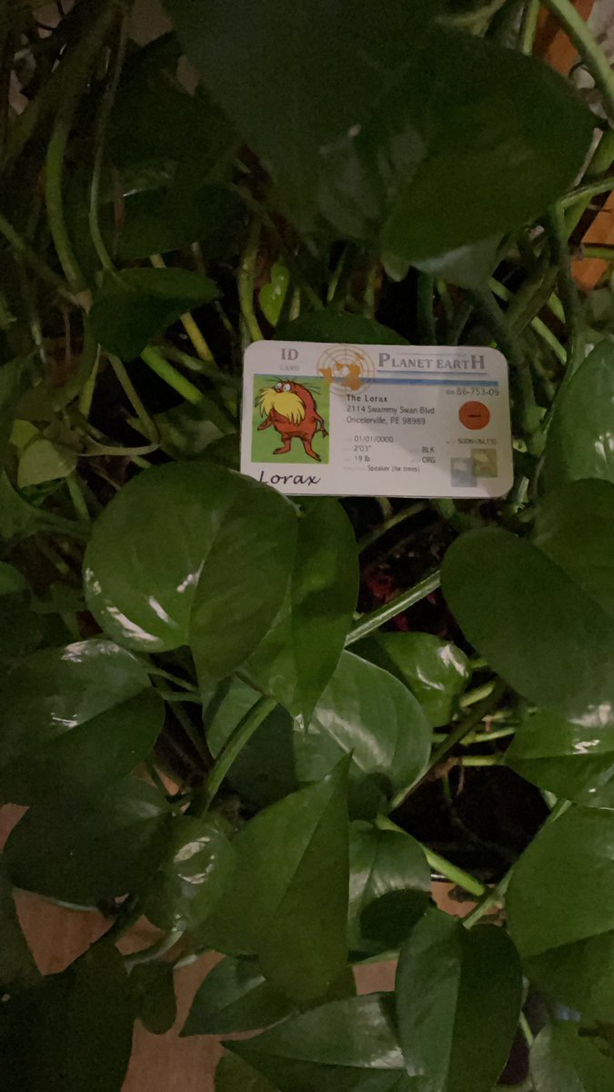 RiyaFHS's tweet photo. @franklinlorax The soil in Wisconsin is Antigo Silt Loam and my house plants thrive on it and proper care!  #apesland https://t.co/wvMr31MlBx