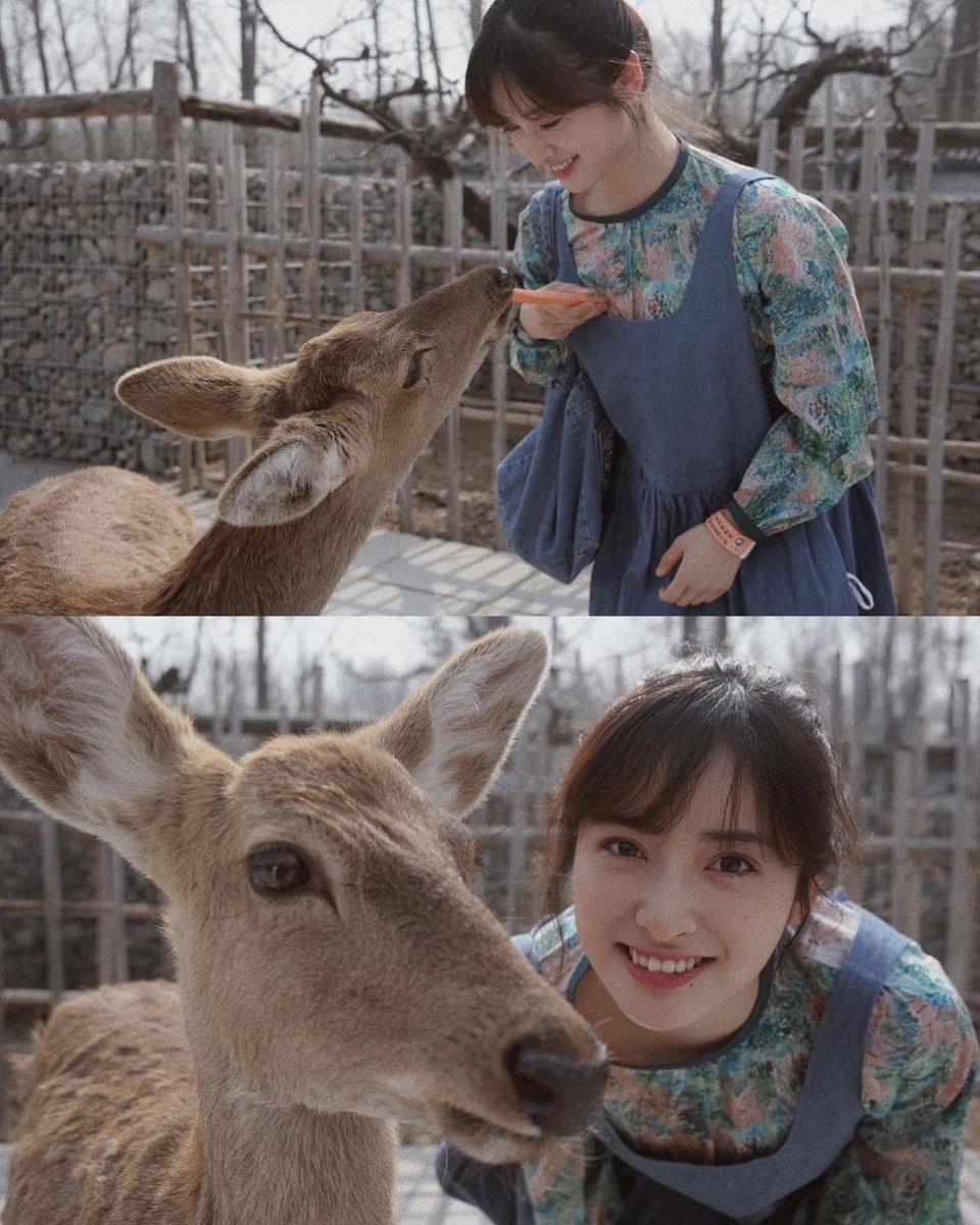 shen yue appreciation tweet media