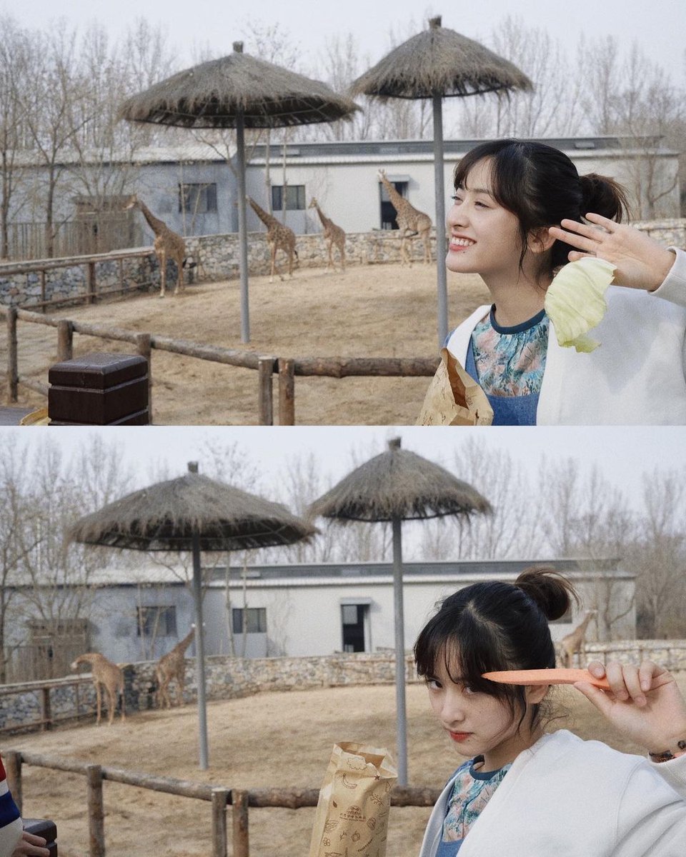 hangout in the zoo with friends 
! 
#沈月 #ShenYue