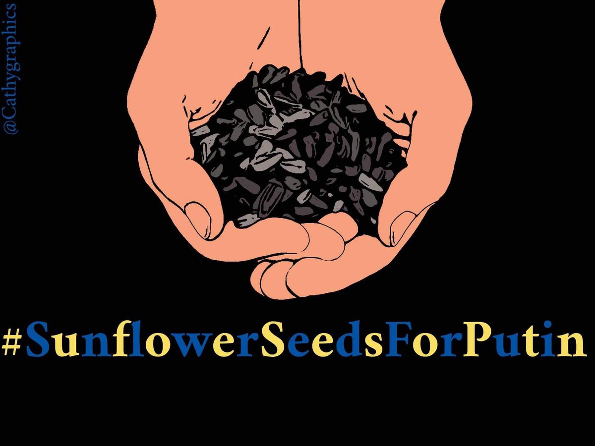 <a href="/KyivIndependent/">The Kyiv Independent</a> Sunflowers seeds for Vlad!