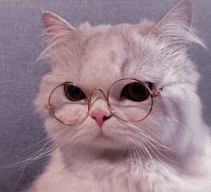 ไม่ไปไหนอยู่ตรงนี้แหละ ไม่เป็นไรหรอก