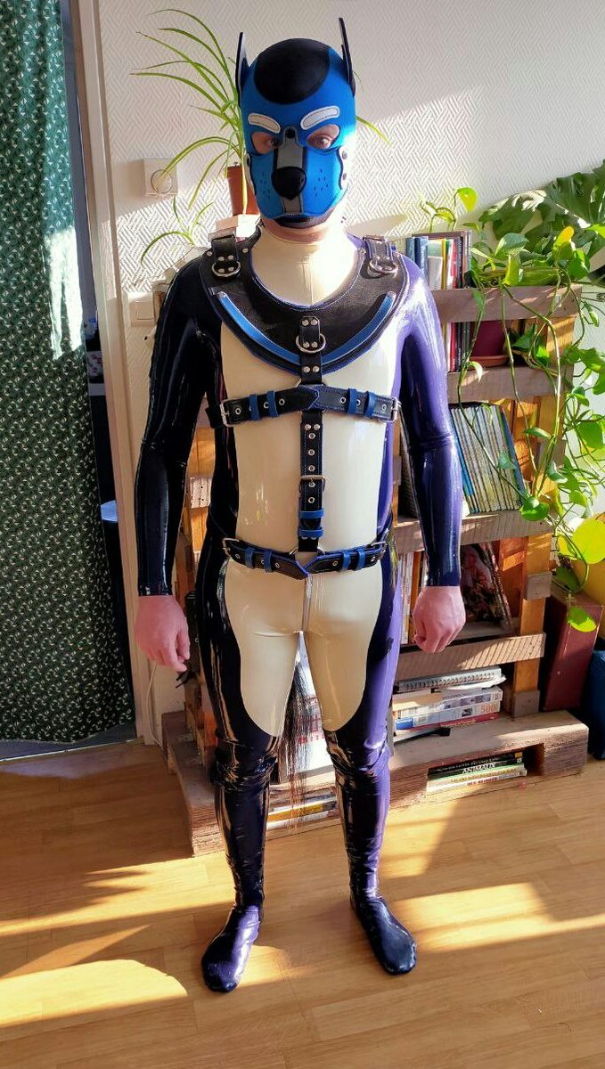CraftsAndrew's tweet photo. Light pony play harness
With blue lining and decorative parts
🐺 @WolfyRubber
Available here : https://t.co/fAYIK8y1gy
#leatherharness #ponyplay #leathercraft #leatherwork #commissionsopen #customharness #rubbersuit https://t.co/1oWRSMsn2t