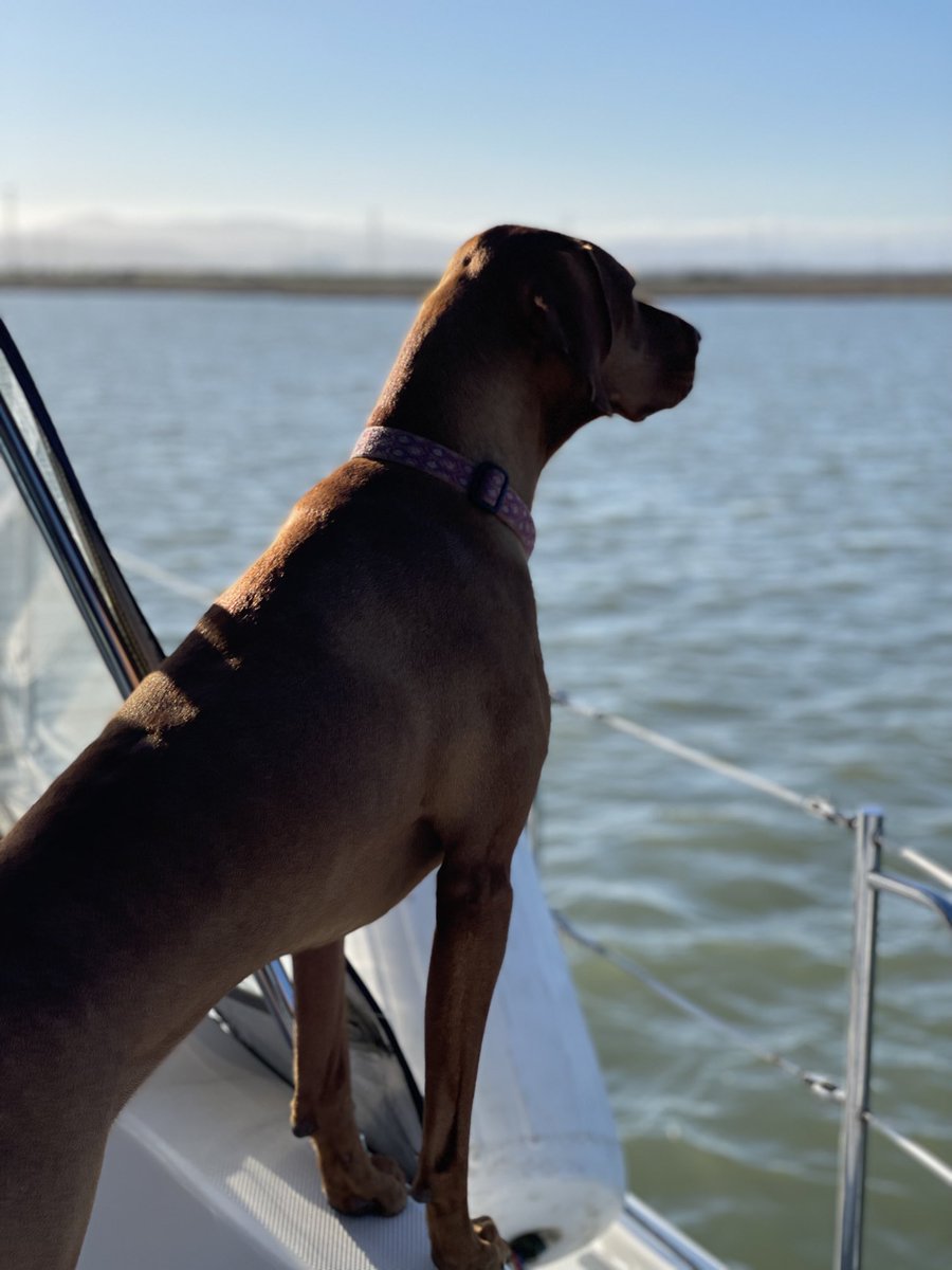 mary hawn tweet media