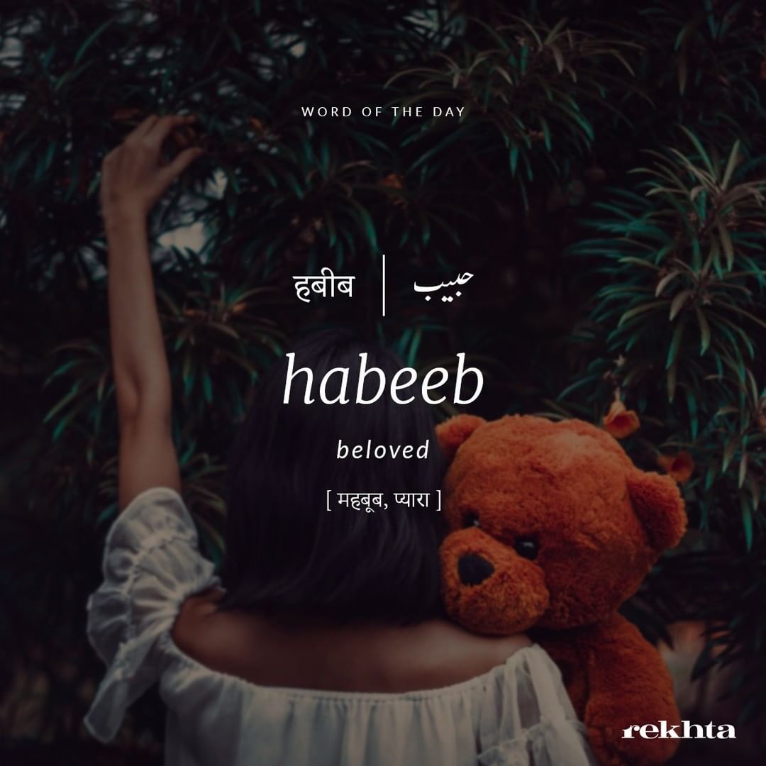 Rekhta's tweet photo. #WordOfTheDay 
vo habeeb ho ki rahbar vo raqeeb ho ki rahzan
jo dayaar-e-dil se guzre use ham-kalaam kar lo
~Anwar Moazzam https://t.co/NSos9OAPX9