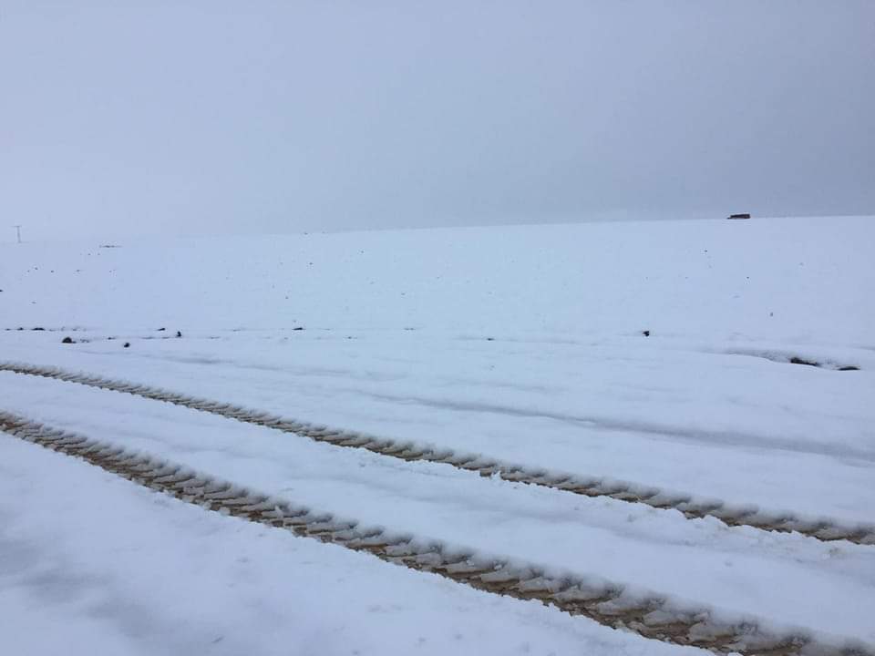 Süleyman Soylu tweet media