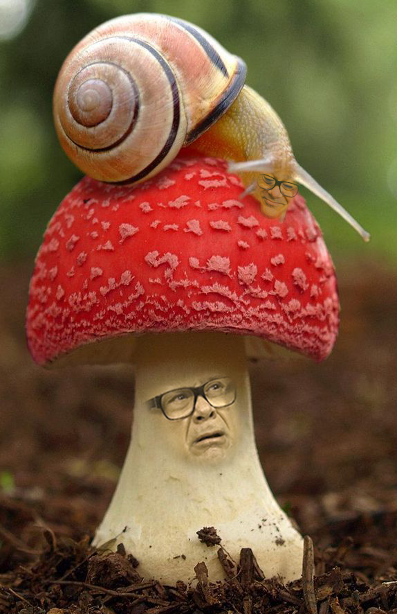 QtsGameQuest's tweet photo. I am not gonna diddle your your shroom bro, it makes it hard to be around others. #bootywave @DannyDeVito https://t.co/HBo3lNMM7a