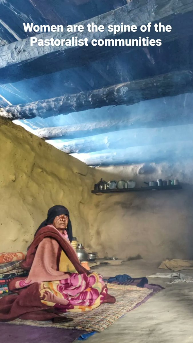 shepherdsofhim's tweet photo. With new challenges such as #climatechange, the influx of roads in #migration routes, availability of alternate #livlyhood,shrinking #pastures, lack of access to #forestrights and participation in decision making in development projects affecting their traditional livelihood. https://t.co/3RGGMWq3Xi