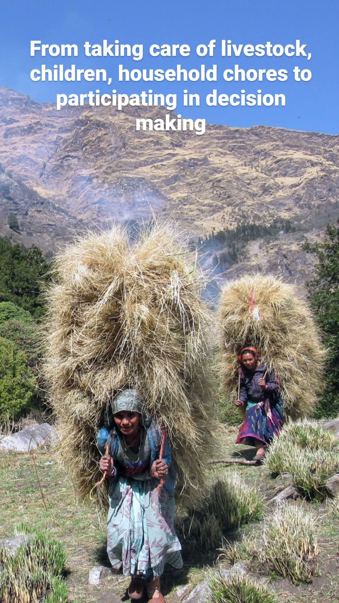 shepherdsofhim's tweet photo. With new challenges such as #climatechange, the influx of roads in #migration routes, availability of alternate #livlyhood,shrinking #pastures, lack of access to #forestrights and participation in decision making in development projects affecting their traditional livelihood. https://t.co/3RGGMWq3Xi