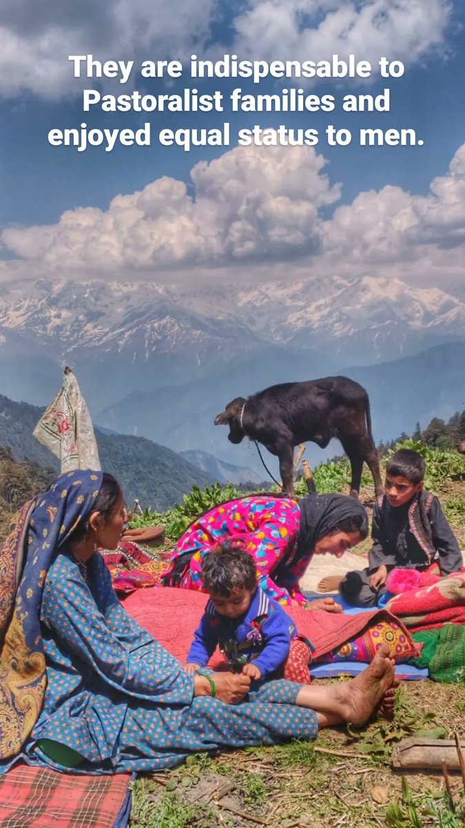 shepherdsofhim's tweet photo. #women from the various communities are suffering most. The respect and equal status they enjoyed in Communities due to their self-sufficiency and Financial Independence because of their #livestock, is slowly eroding. 

On the #InternationalWomensDay, our respect to all https://t.co/x41uNM5u2Z