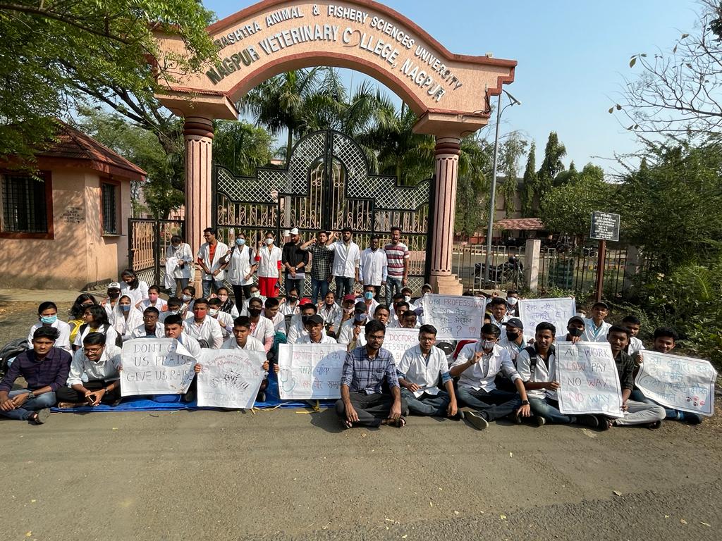 Ratnaparkhi_13's tweet photo. 4 th Day ! Strike Continues. ✊ We won't stop until our demands are fulfilled. Increase Internship allowance of vet interns. @CMOMaharashtra @uddhavthackeray @AjitPawarSpeaks @SunilKedar1111 @abpmajhatv @saamTVnews @bbcnewsmarathi 
#vets_on_strike #maharashtra_vet_students https://t.co/S0DrpKT2Sm