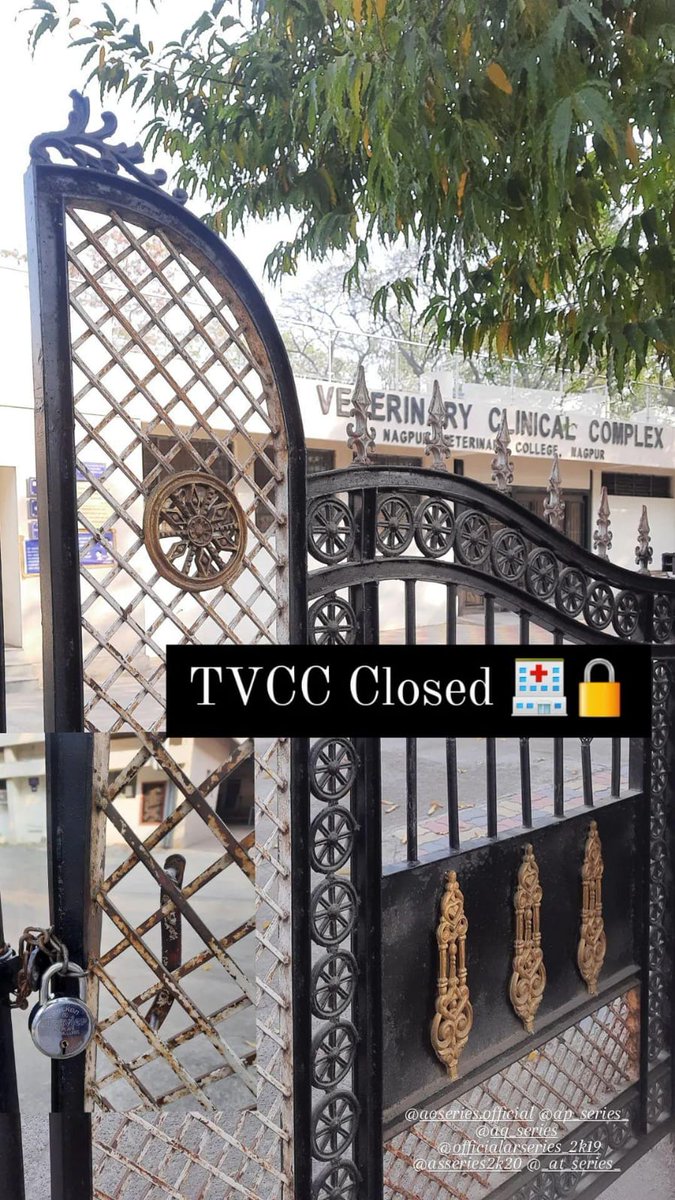 Ratnaparkhi_13's tweet photo. 4 th Day ! Strike Continues. ✊ We won't stop until our demands are fulfilled. Increase Internship allowance of vet interns. @CMOMaharashtra @uddhavthackeray @AjitPawarSpeaks @SunilKedar1111 @abpmajhatv @saamTVnews @bbcnewsmarathi 
#vets_on_strike #maharashtra_vet_students https://t.co/S0DrpKT2Sm