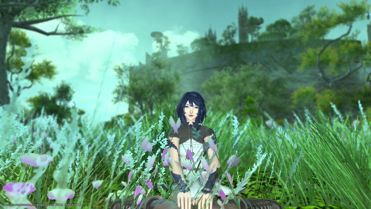 HanzaArchived tweet picture