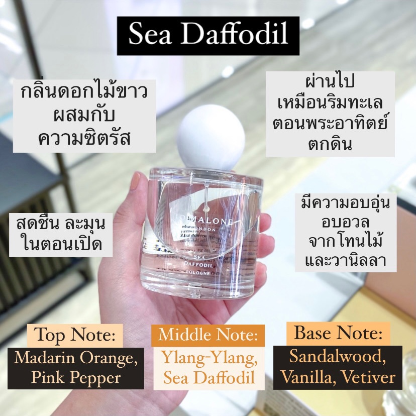 shobbeautyth's tweet photo. 🤍 น้ำหอมคอลลิมิเต็ดของ Jo Malone Blossom Collection น่ารักไม่ไหว แพคเกจคือมินิมอลน่าใช้สุด คอลนี้ทำกลิ่นออกมารับซัมเมอร์ให้ฟีลเดินเล่นริมทะเลที่อิตาลี เบอร์นั้นเลยเทอ สาวกโจมาโลนห้ามพลาดบอกเลย #ไว้ขายของห้ามรีวิวโว้ยย #ของดีบอกต่อ #รีวิวน้ำหอม https://t.co/ceCY0wu8Lk