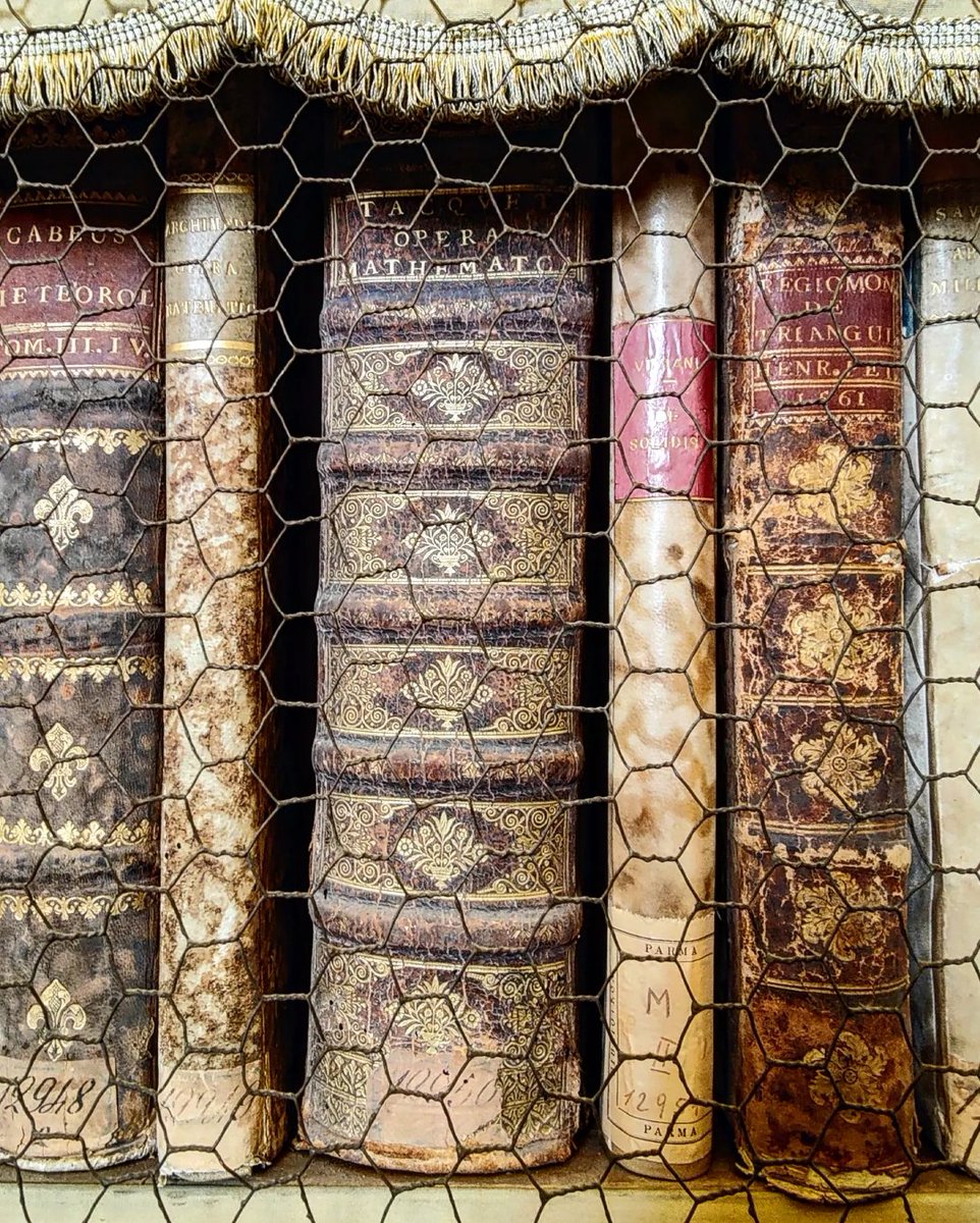 EtwTerp's tweet photo. Quand Archimède côtoie Tacquet, Viviani et Regiomontanus...
Biblioteca Palatina
Parma 🇮🇹
Nov. 2021
#mathartist #mathlover #parma #photomaths #livres #mathematiciens #bibliotecapalatina
RV sur Instagram:
📸🖍️MATHS_ARTIST✏️🎨https://t.co/1OVKVNPI8n https://t.co/tNoUBShiy6