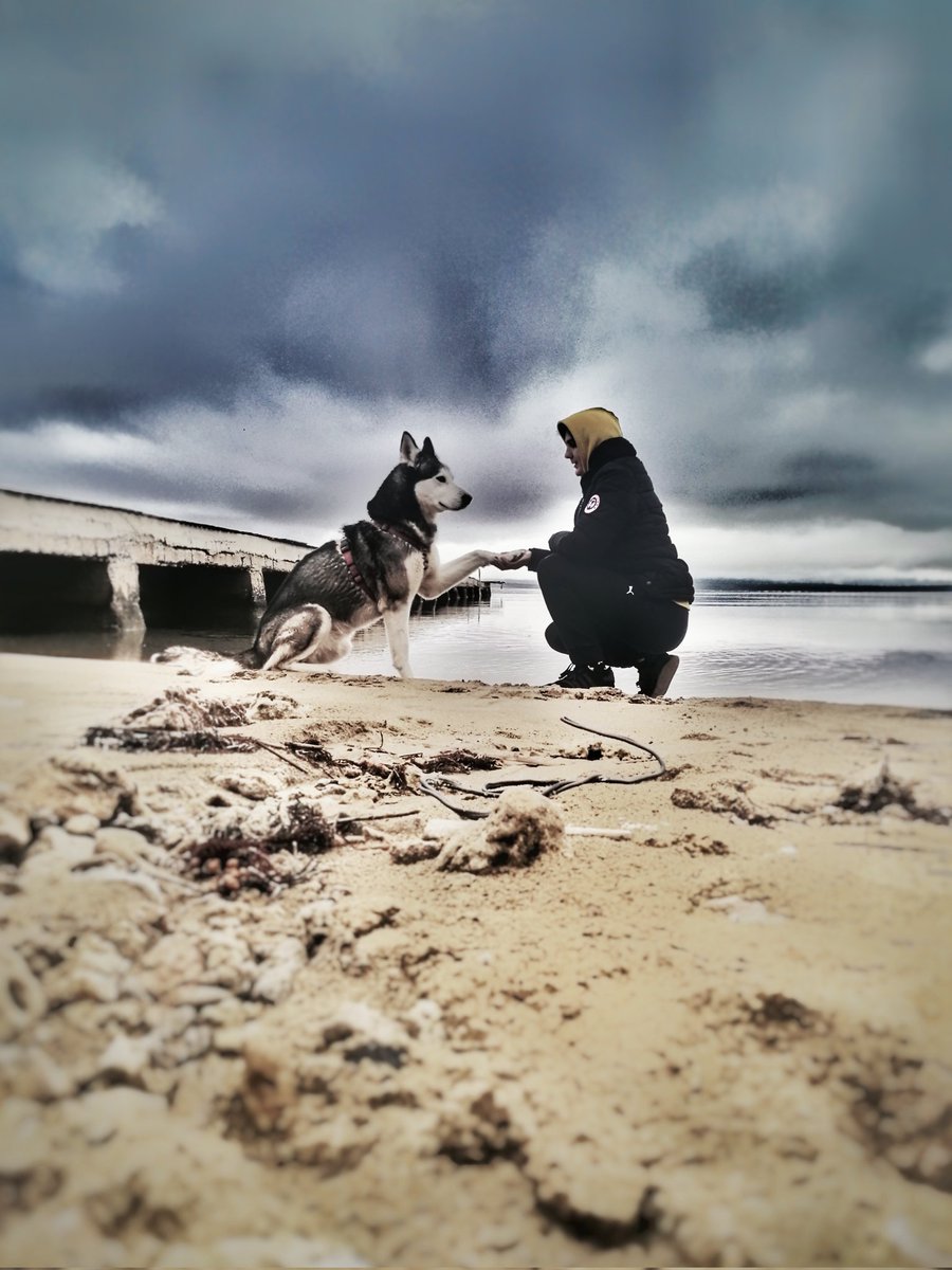 Kad bi zivotinja pricale svit bi sutia!