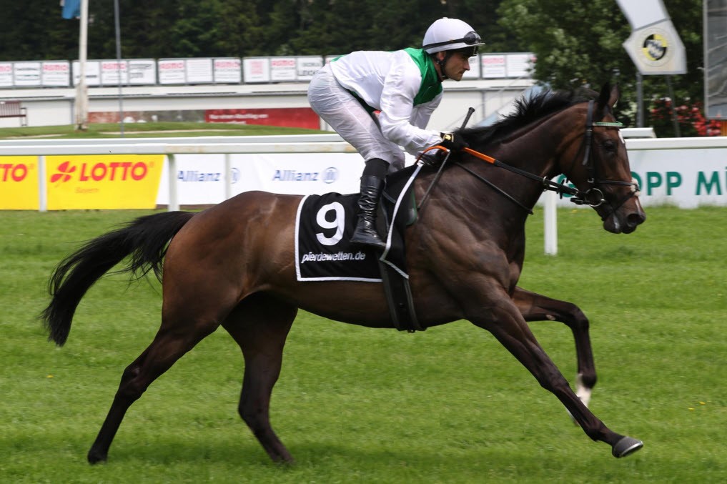 SperiamoHorse's tweet photo. We are excited to announce that we have completed the private purchase of MAGIC SOUND (IRE), a powerfully built daughter of Kingman from a superior maternal line.

She will soon be on her way down under in time for the breeding season. #EuropeanBloodlines https://t.co/L1QZcejL35