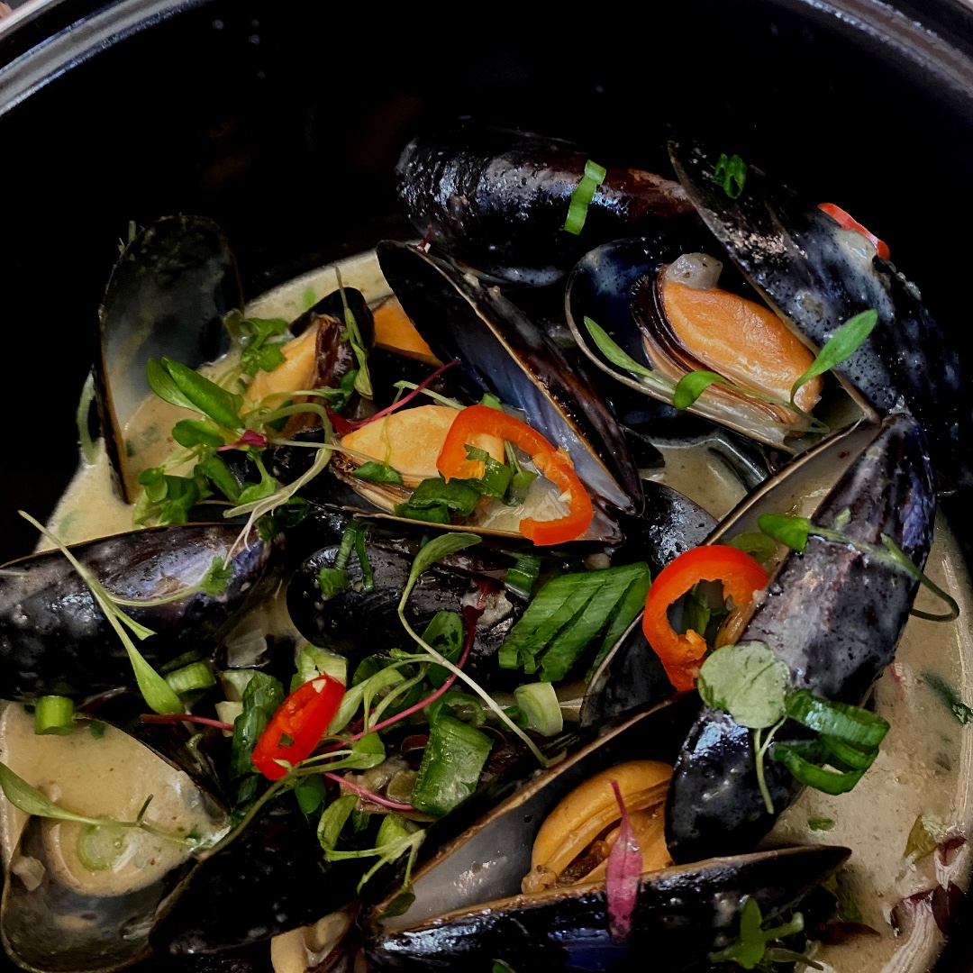AlverbankThe's tweet photo. If you haven't tried our Mussels in a Thai Spiced Broth you are absolutely missing out, they are utterly delicious! Treat yourself ❤️
#alverbank #menus #foodie #alverbank #restaurant #smallplates #largeplates #puddings #seaviews #solent https://t.co/3N6sFyqKpa