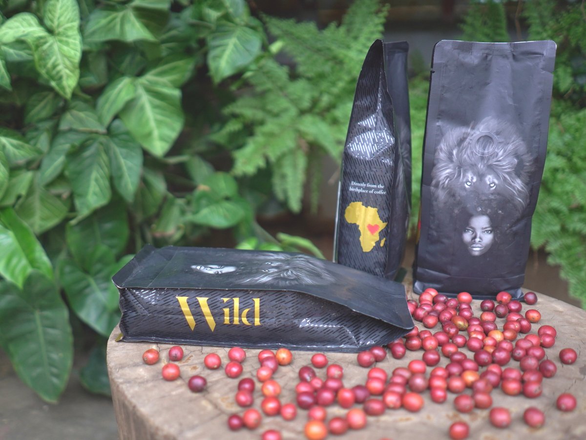 thewildbrand's tweet photo. The best African coffee - selected, roasted, and packed at source, in Africa, to bring back the Lion's share of the value to the birthplace of coffee.

#coffeesubscription #coffee #coffeelovers #coffeedrinking #africancoffee #coffeeiswild #coffeeadict #lionssharecoffee https://t.co/iIDUZsN09D
