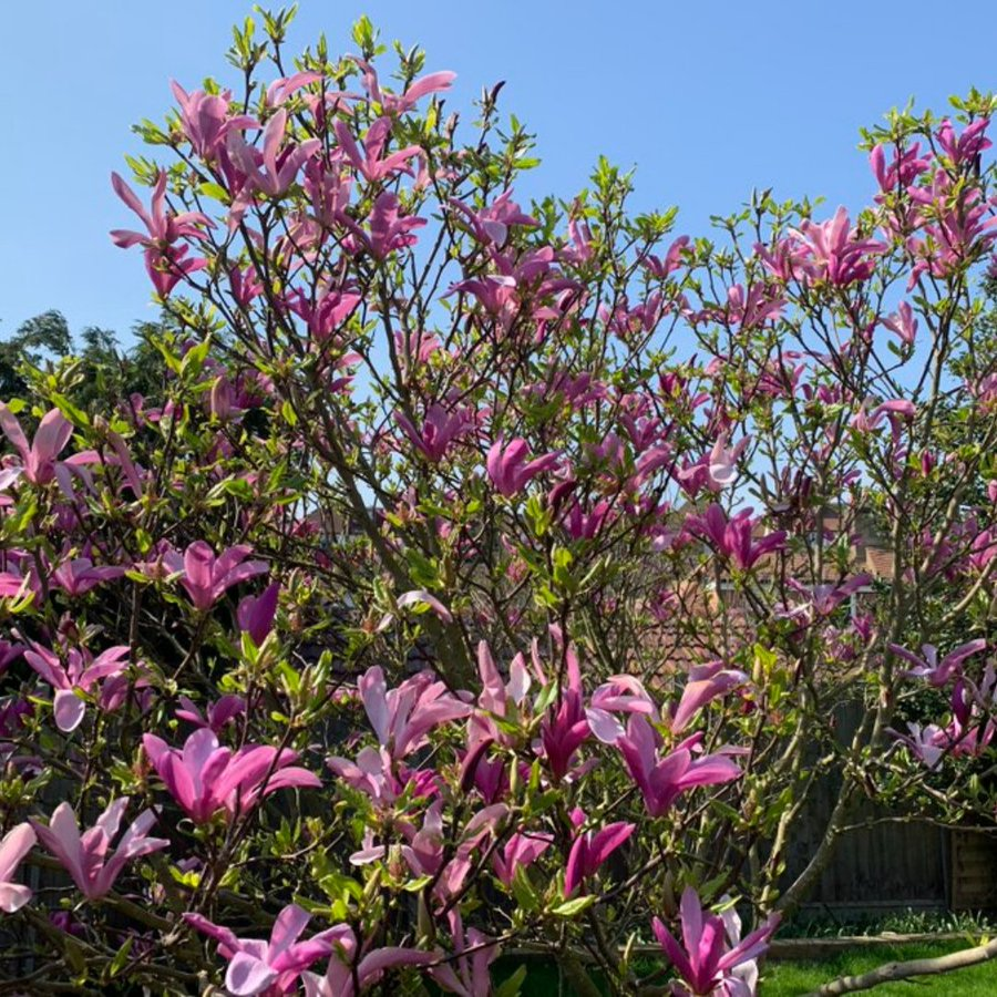 DiabetesUKCymru's tweet photo. The clocks go forward this weekend and it will feel even more like #Spring.
Start sharing your pictures of #WalesinSpring
π΄σ §σ ’σ ·σ ¬σ ³σ Ώππ¦π·πΈπΊβ
οΈ https://t.co/Wq6587sIrG